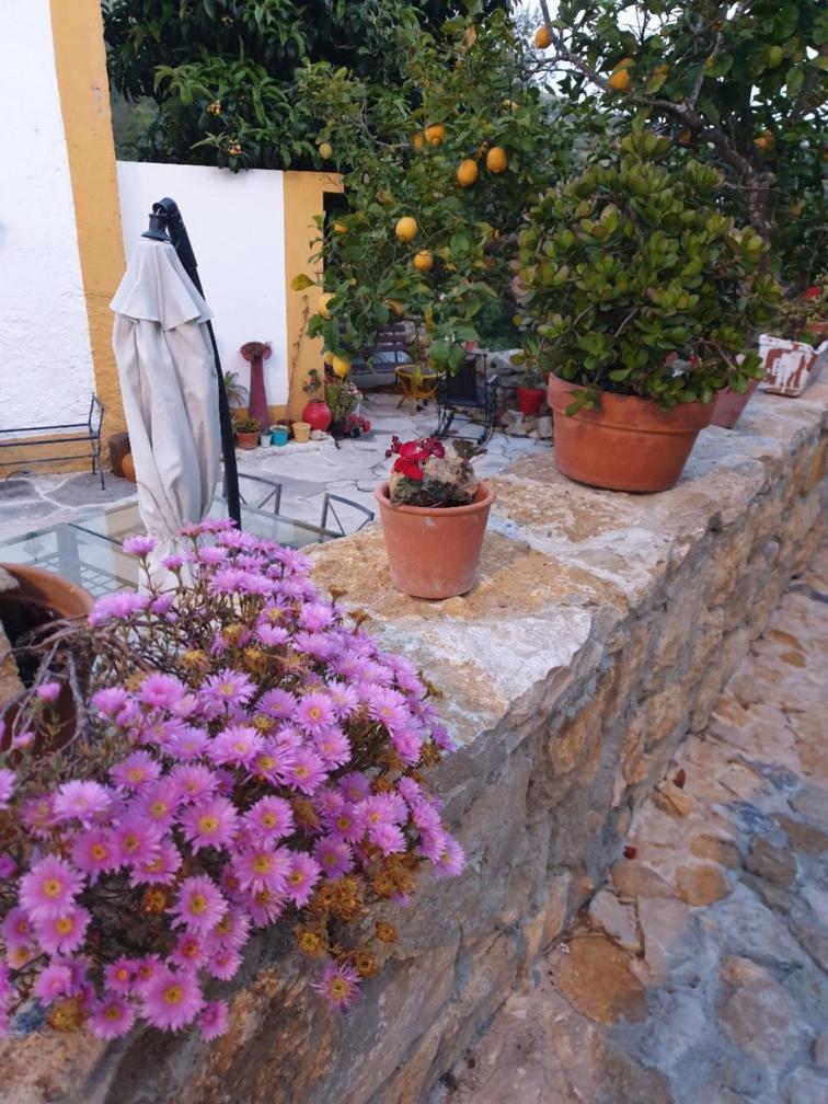 Casa Das Janelinhas - Cottage Near Sintra, Mafra, Ericeira Экстерьер фото